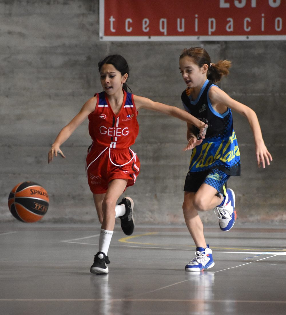 basquet